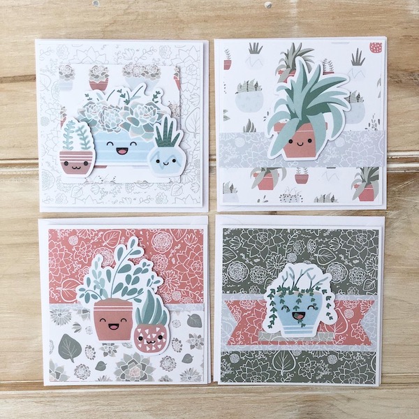 Succulents card kit