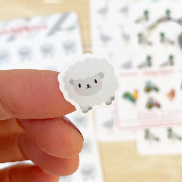 Closeup of a cute sheep sticker